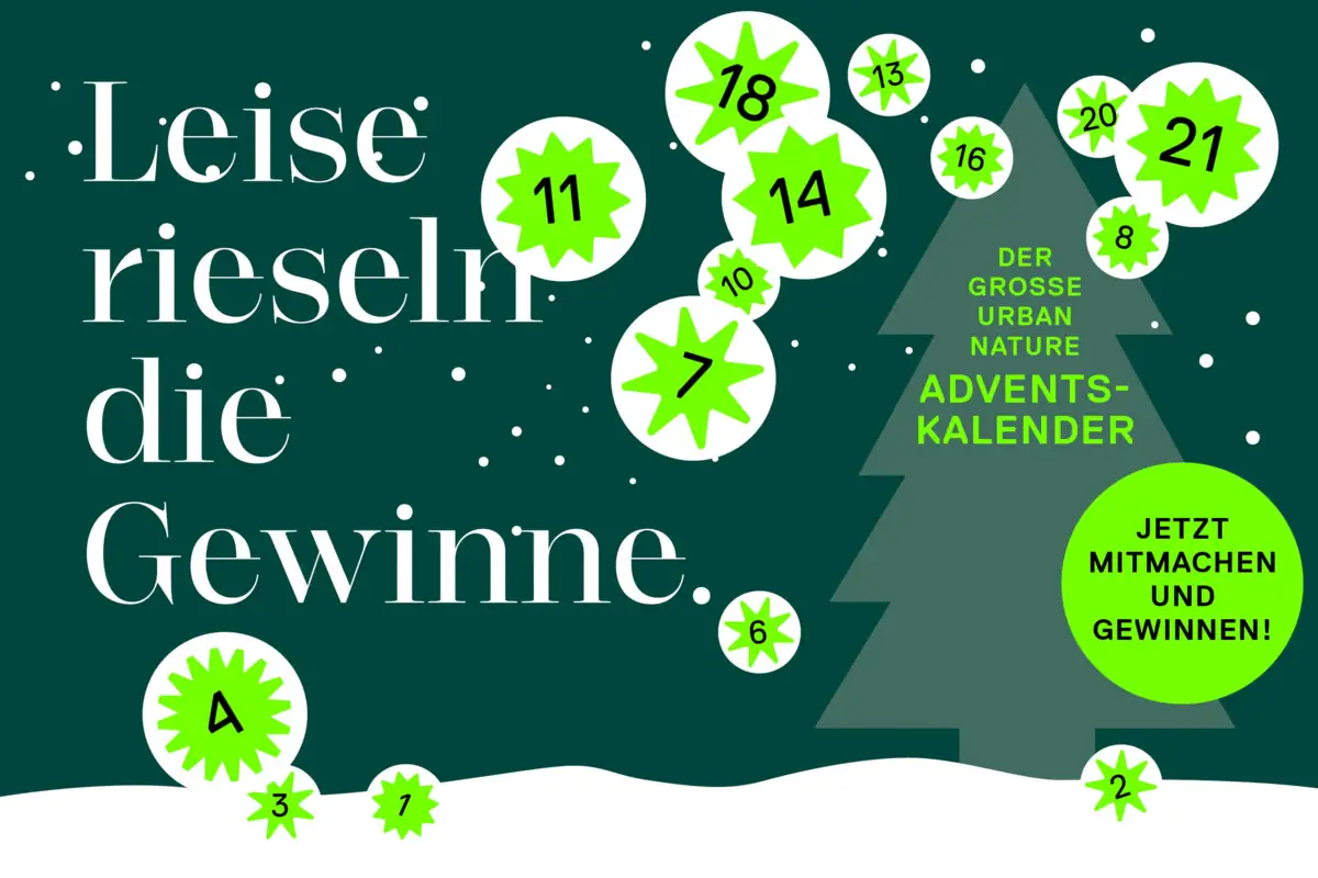 Adventskalender Kalender mit Zahlen und Sternen