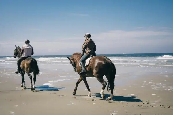 Reiten Am Strand von St. Peter-Ording Zwei Personen reiten auf Pferden am Strand.