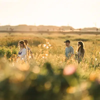 Specials Vier Personen spazieren durch ein Feld das von der tief stehenden Sonne in warme Farben getaucht ist.