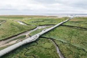 Dünenaufgang Brücke über ein sumpfiges Gebiet mit Gras und bewölktem Himmel.